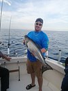 How to get to Reelly Addicted Sportfishing in Cottage Grove by Bus?