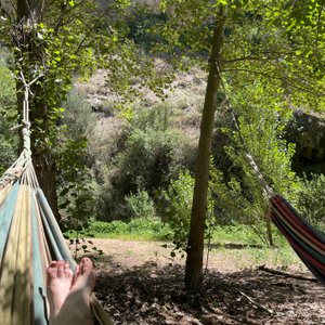 Reading in the hammock, just before we saw an ibex on the cliff across 