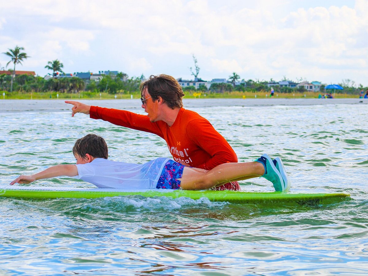 How Many Sand Dollars Are There On Sanibel? — Sanibel Sea School