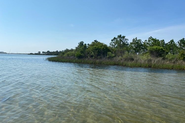 Get Up and Go Kayaking Destin (Mary Esther, FL): Hours, Address ...