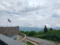 se permiten perros en brasstown bald mountain