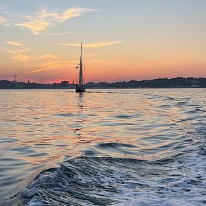 portland maine catamaran