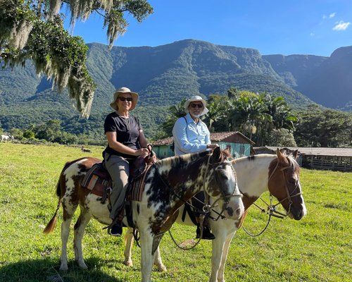 Cavalo esportivo pulando de estilo