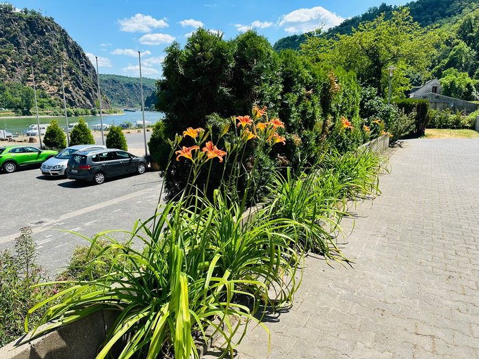 HOTEL LORELEYBLICK Updated 2023 Prices & Reviews (Germany/Sankt Goar)