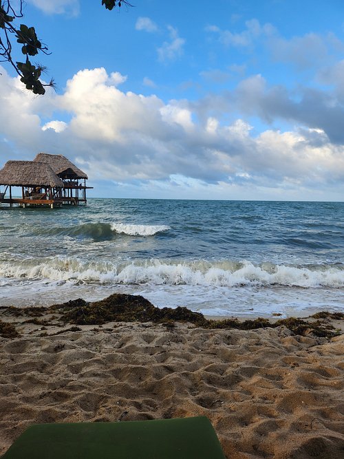 Almond Beach Resort At Jaguar Reef Belizehopkins Tarifs 2023 