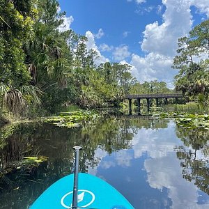 10 Things to Do in Jupiter, Florida