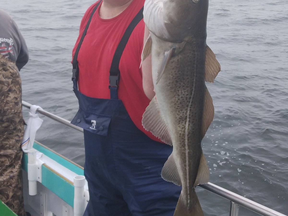 Deep-Sea Fishing in Massachusetts (Atlantic Cod, Pollock, Hake) 