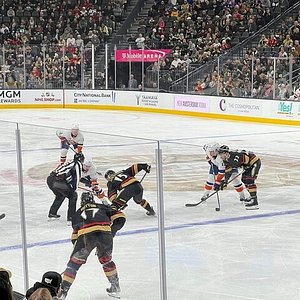 Vegas Golden Knights Drop First Two Games at T-Mobile Arena