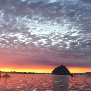 THE 15 BEST Things to Do in Morro Bay - 2024 (with Photos