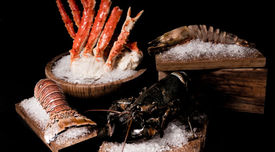 Seafood Monster Selection 