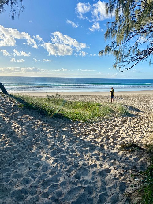 Noosa North Shore Beach Campground 2024 Reviews Photos Of Campground Tripadvisor 