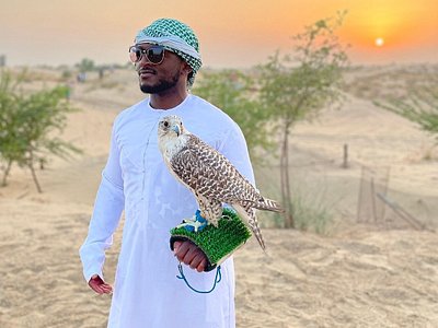 Un viajero con una túnica blanca sosteniendo un halcón en su brazo en el desierto