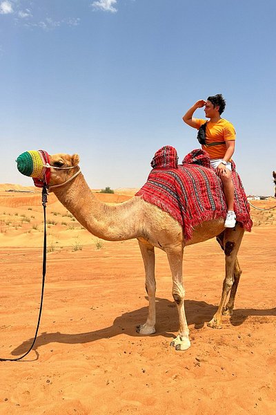 A male traveler posing for a photo atop a camel in the Arabian desert, Dubai