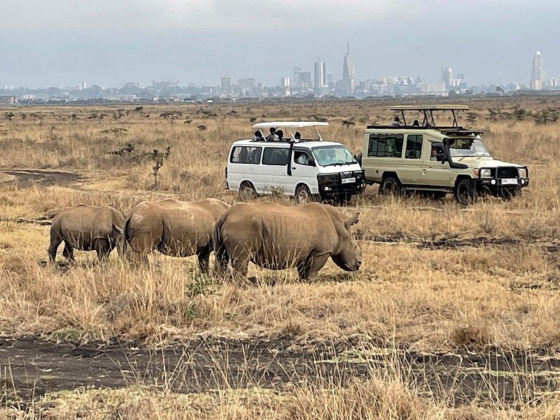 Travelers in safari jeeps observing rhinos in Nairobi National Park, with the city skyline in the background