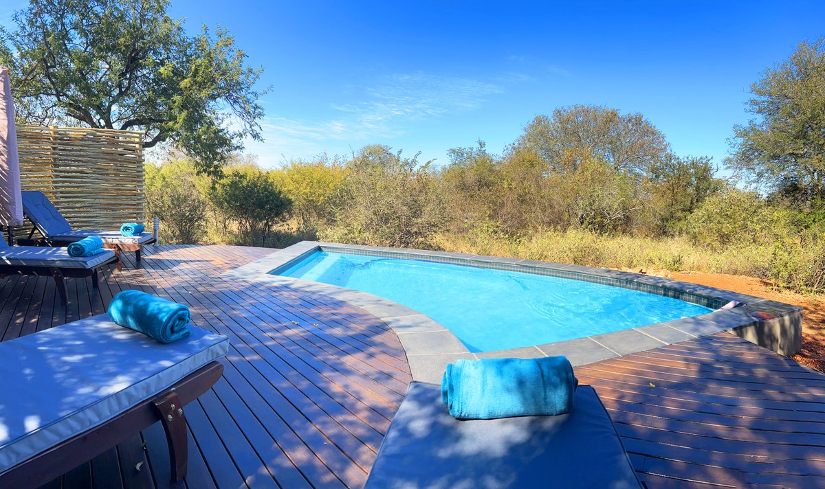 Wild Dog Guest Lodge Pool Pictures & Reviews - Tripadvisor