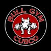 bull Gym Centro San Pedro