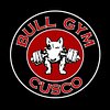 bull Gym Centro San Pedro