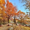 Driftless Explorer