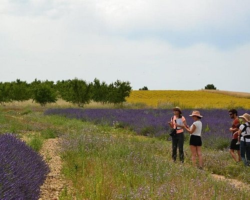 Ateliers Visites With Loïc Prigent: Grasse