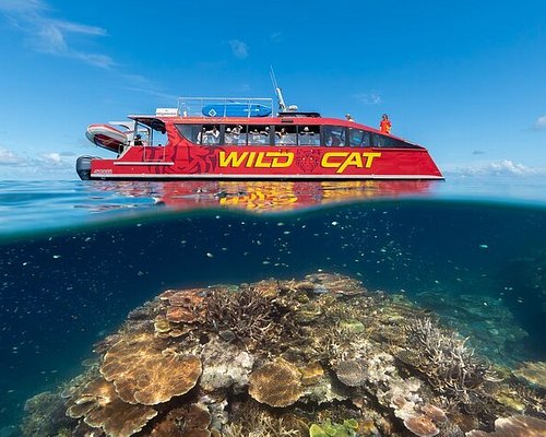 Great THE & Cruises Barrier Rides 2024) 10 Reef (Updated BEST Boat