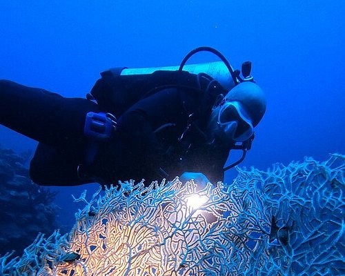 aqaba diving tour