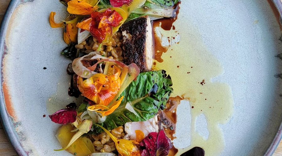 Koji-Porcini Roasted NC Cobia with Carrot Stewed Farro, Nasturtium Vinaigrette, Little Gems, Purple Carrot Saba