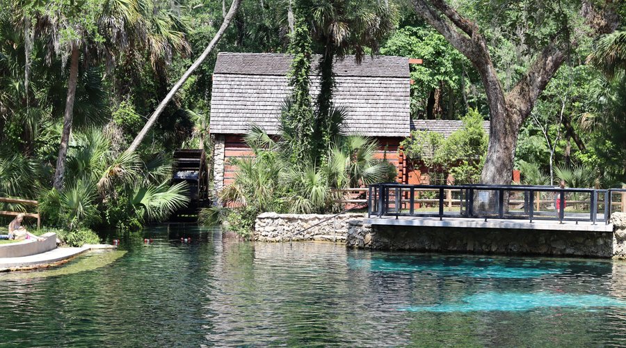 Juniper Springs Recreation Area - All You Need to Know BEFORE You 