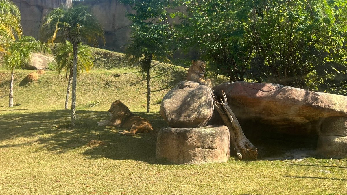 Antiquario Na Vovó tem - Jundiaí - SP