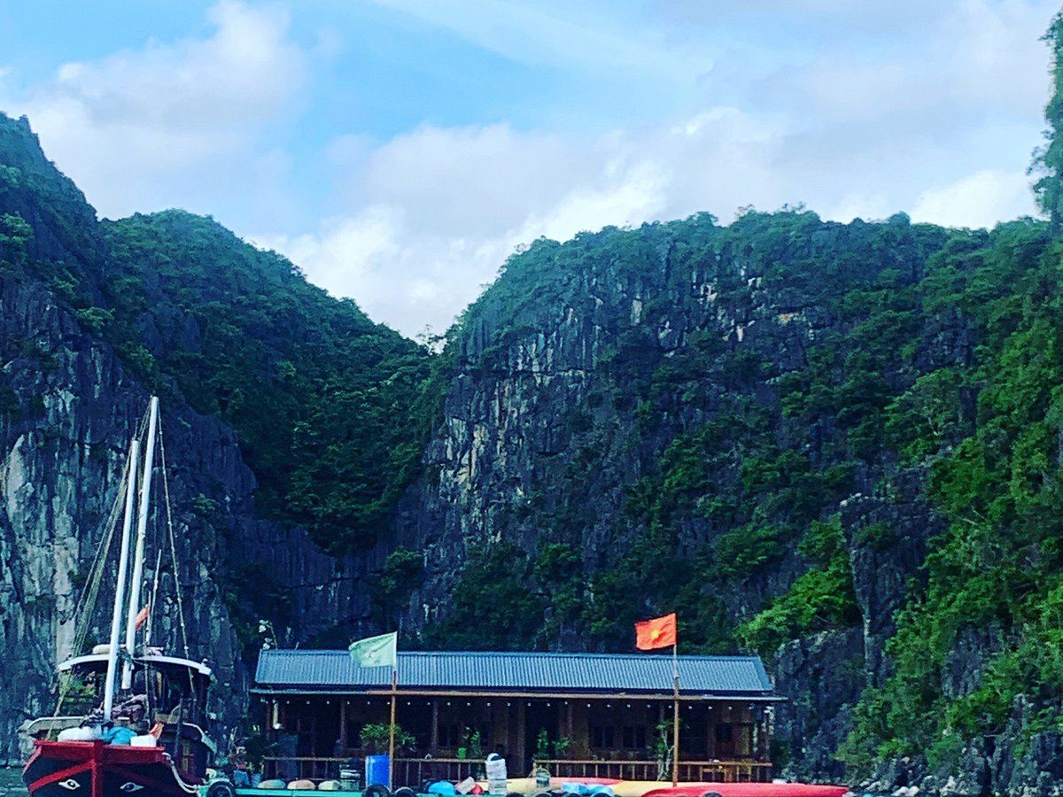 Blue Swimmer Adventures (Cát Bà, Việt Nam) - Đánh Giá - Tripadvisor