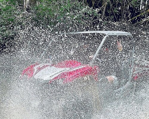 el yunque tours tripadvisor