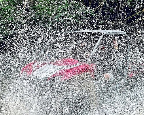 jungle tour in puerto rico