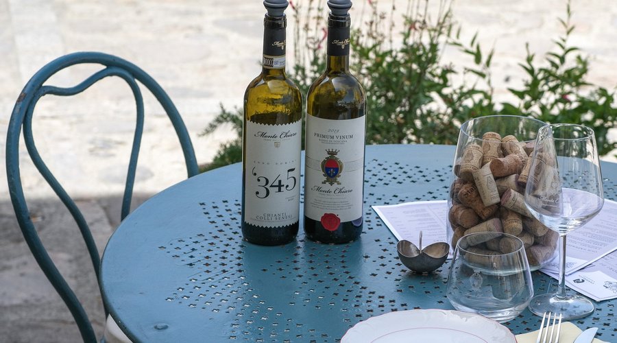 Great Wines tasting experience in our nice dehors.