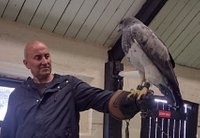 fast sex gif nükhet isminin anlamı