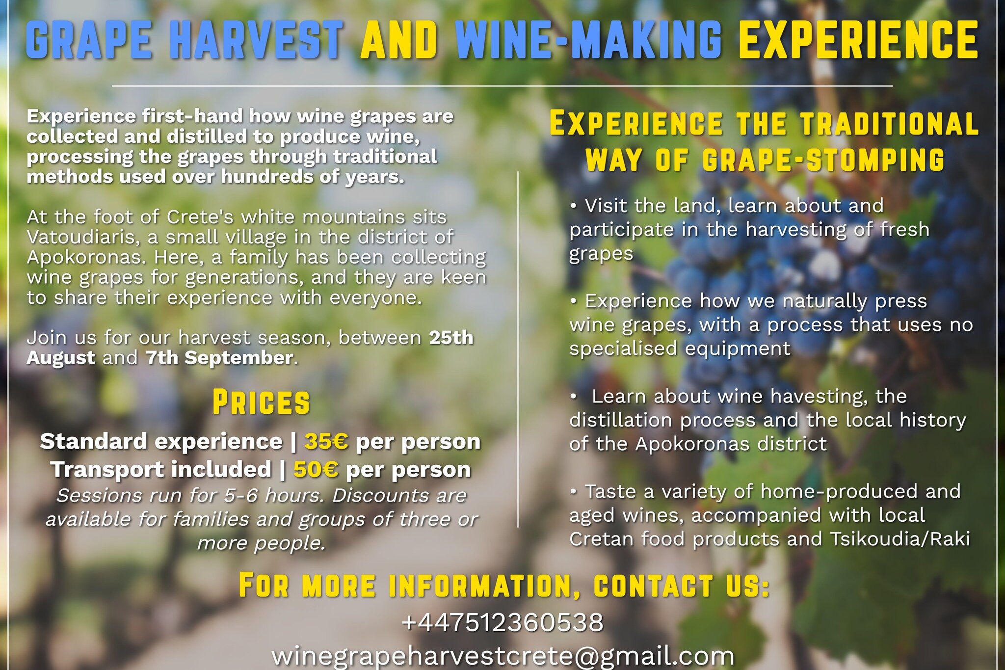 WINE GRAPE HARVEST AND STOMPING 2024 All You Need To Know BEFORE You   Caption 