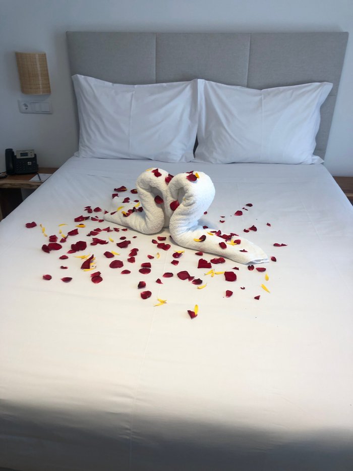 Serpa Hotel (세르파) - 호텔 리뷰 & 가격 비교