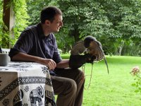 The Cumberland Bird of Prey Centre.