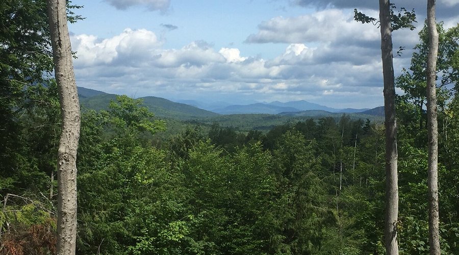 An easy hike up our Raspberry Trail ends in this view. 