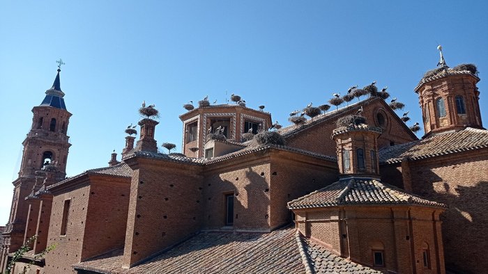 Imagen 8 de Mirador de las Cigüeñas