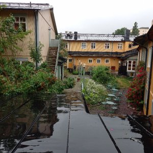 Pretty summer garden after a welcome rain shower!