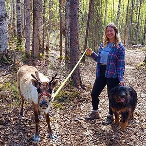 Up North Fly Fishing - Talkeetna, Alaska