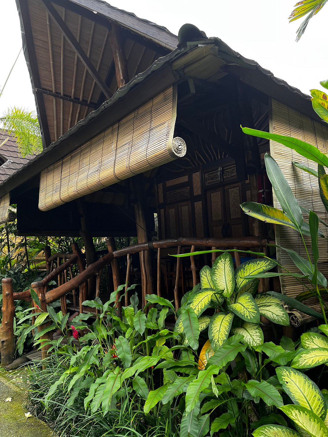 THE CALMTREE BUNGALOWS (Бали/Чангу, Индонезия) - отзывы, фото и сравнение  цен - Tripadvisor