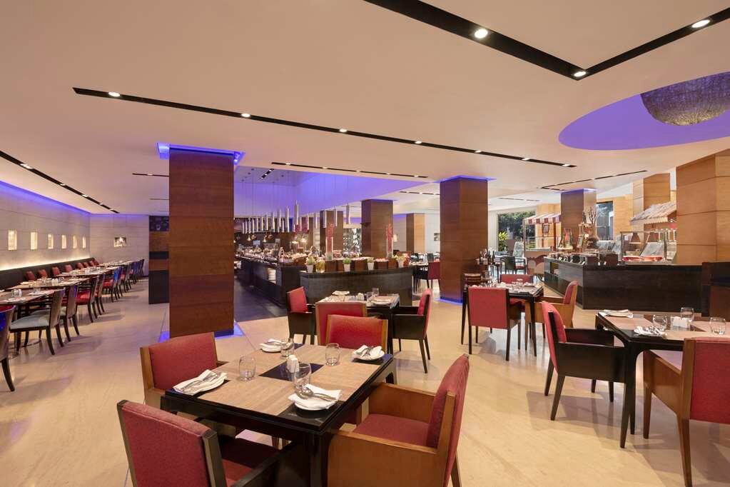 RADISSON BLU PLAZA DELHI AIRPORT (AU$84): 2023 Prices & Reviews (New ...