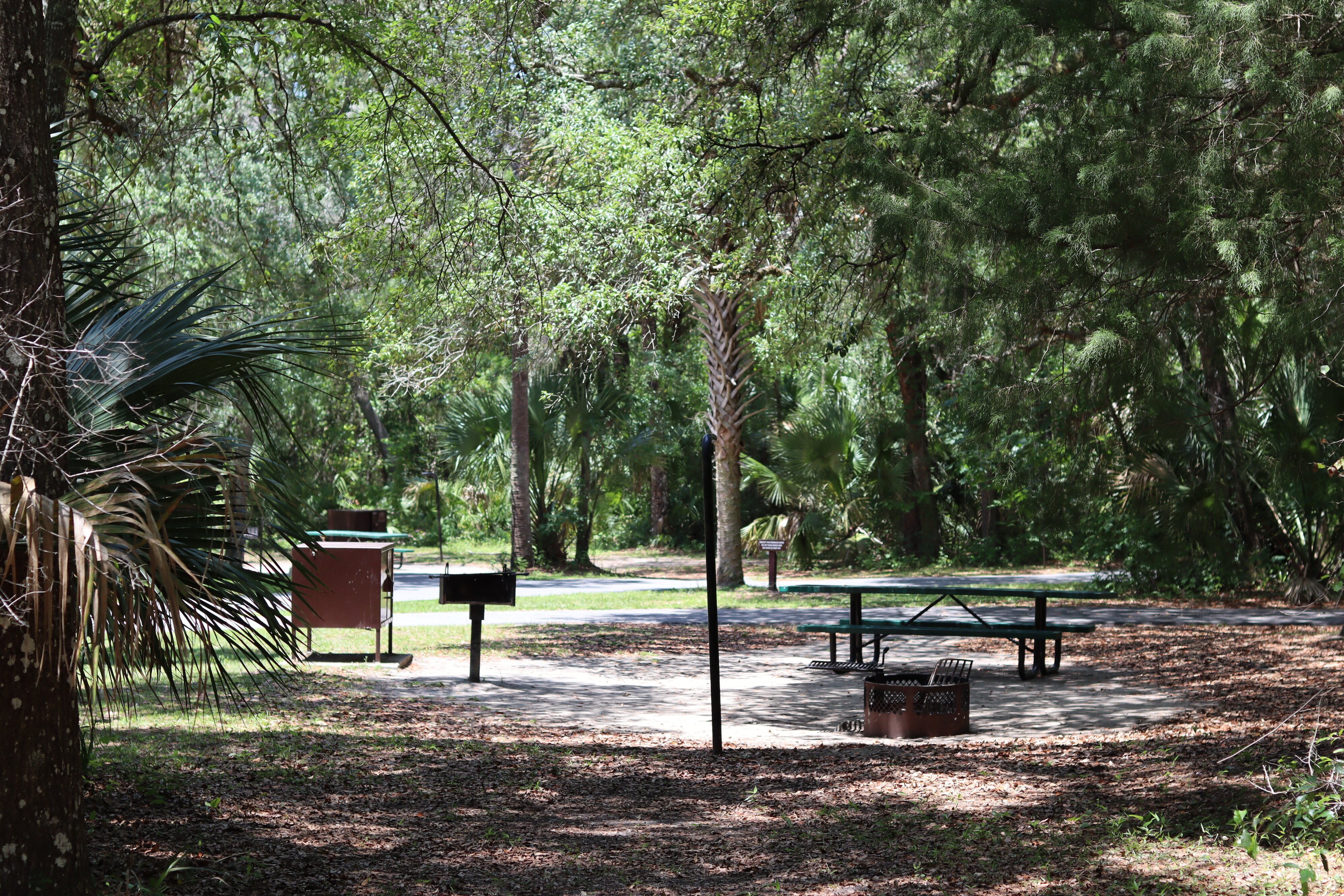 Alexander springs discount recreation area camping