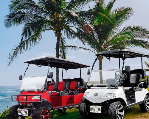 THE 10 BEST Maui Taxis & Shuttles (Updated 2024) - Tripadvisor