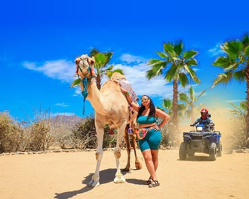 THE 10 BEST Cabo San Lucas 4WD, ATV & Off-Road Tours (2024)