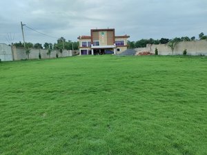 The Nirvana Resort in Chatra