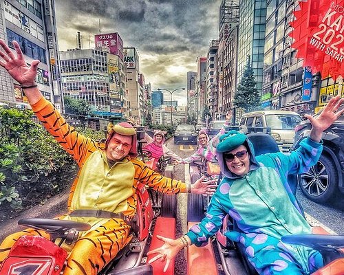 Terapi Daggry Sow THE 10 BEST Tokyo Tours & Excursions for 2023 (with Prices)