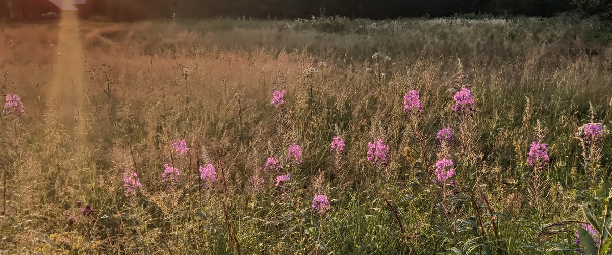 Surrounding nature is peaceful and serene.