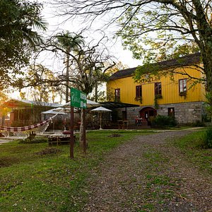 Experiências da Vindima na vinícola Dal Pizzol, em Bento Gonçalves