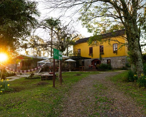 Visitação guiada com degustação na Vinícola Ravanello - Wine Locals